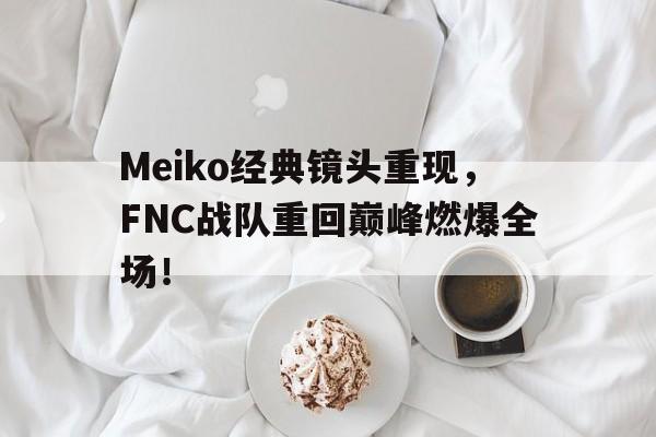 Meiko经典镜头重现，FNC战队重回巅峰燃爆全场！