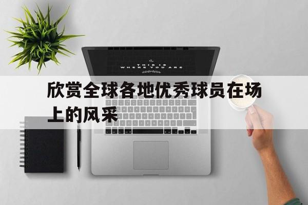 欣赏全球各地优秀球员在场上的风采